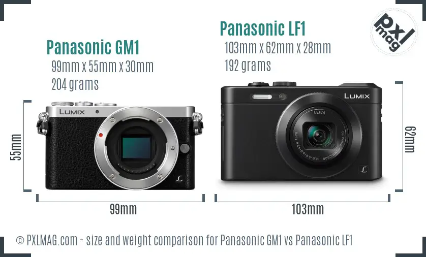 Panasonic GM1 vs Panasonic LF1 size comparison