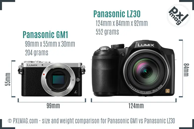 Panasonic GM1 vs Panasonic LZ30 size comparison