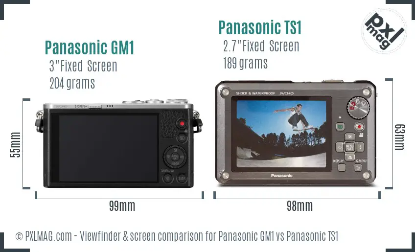 Panasonic GM1 vs Panasonic TS1 Screen and Viewfinder comparison