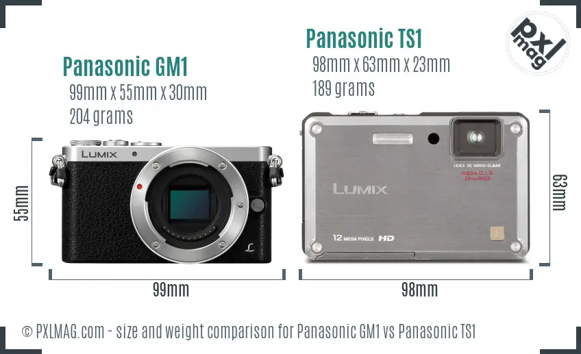Panasonic GM1 vs Panasonic TS1 size comparison