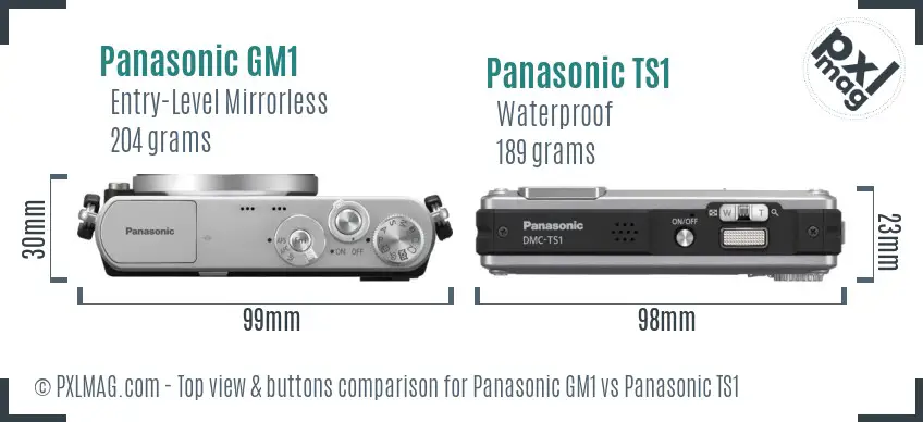 Panasonic GM1 vs Panasonic TS1 top view buttons comparison
