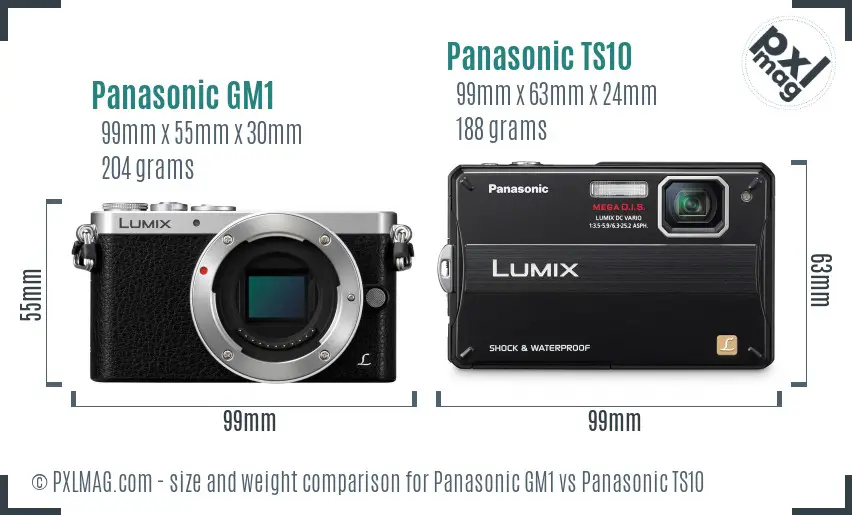 Panasonic GM1 vs Panasonic TS10 size comparison