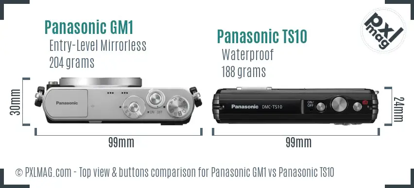 Panasonic GM1 vs Panasonic TS10 top view buttons comparison