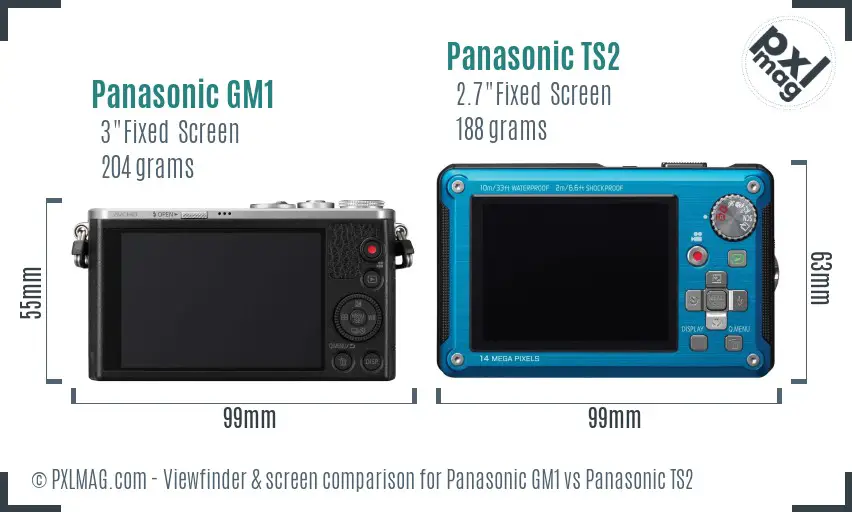 Panasonic GM1 vs Panasonic TS2 Screen and Viewfinder comparison