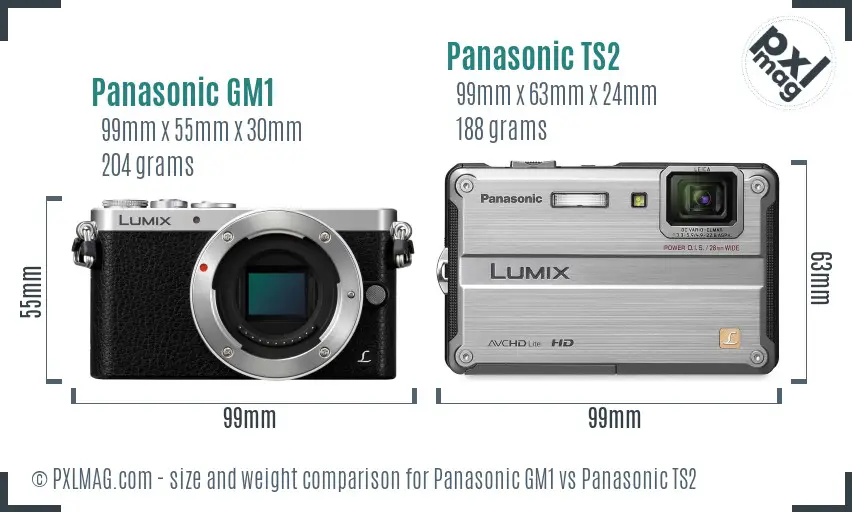 Panasonic GM1 vs Panasonic TS2 size comparison