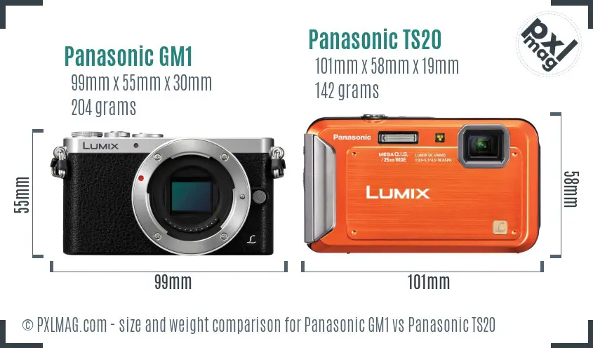 Panasonic GM1 vs Panasonic TS20 size comparison