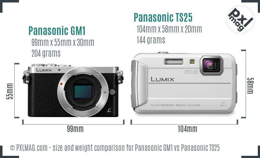 Panasonic GM1 vs Panasonic TS25 size comparison