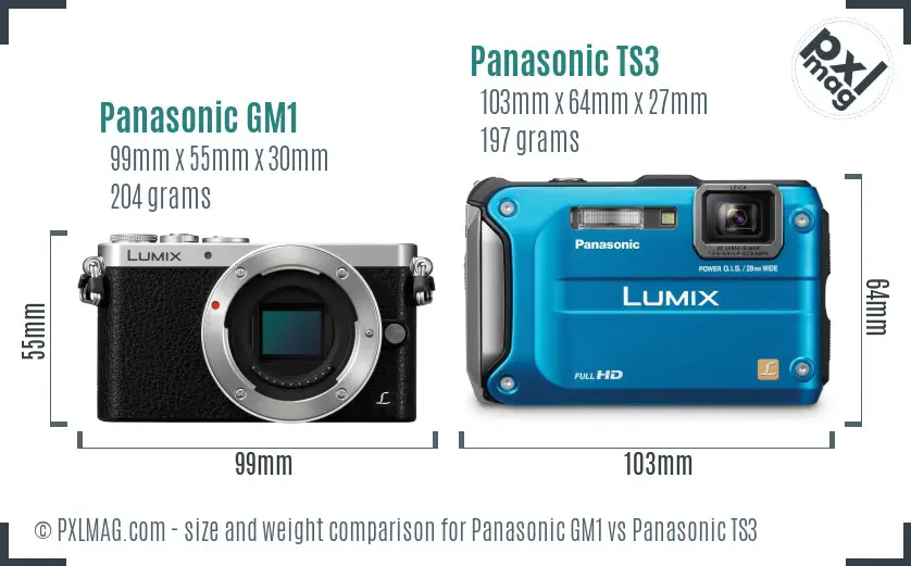 Panasonic GM1 vs Panasonic TS3 size comparison