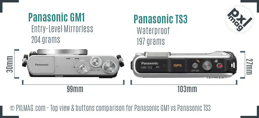 Panasonic GM1 vs Panasonic TS3 top view buttons comparison