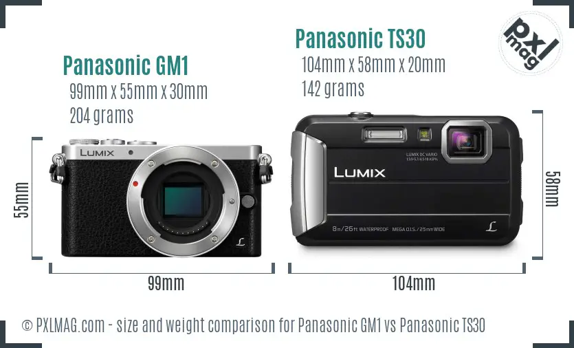Panasonic GM1 vs Panasonic TS30 size comparison