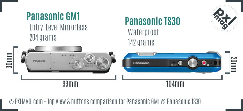 Panasonic GM1 vs Panasonic TS30 top view buttons comparison
