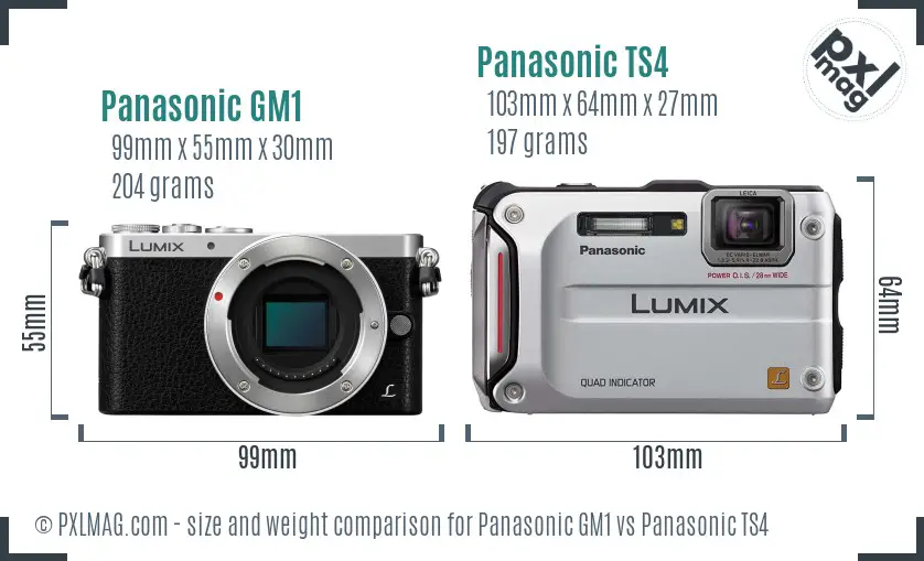 Panasonic GM1 vs Panasonic TS4 size comparison