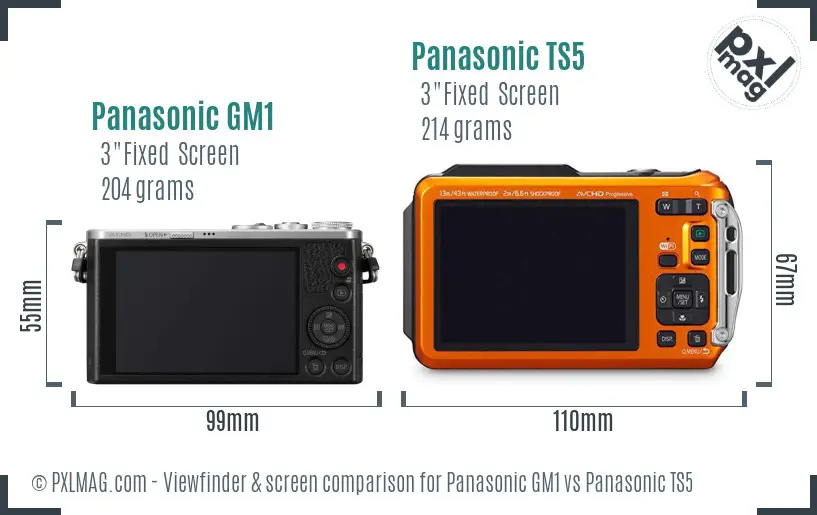 Panasonic GM1 vs Panasonic TS5 Screen and Viewfinder comparison