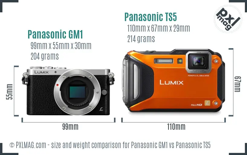 Panasonic GM1 vs Panasonic TS5 size comparison