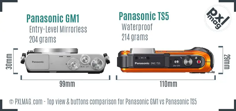 Panasonic GM1 vs Panasonic TS5 top view buttons comparison