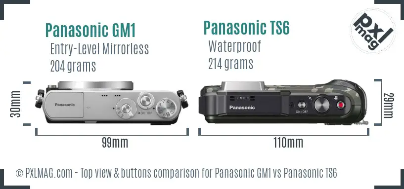 Panasonic GM1 vs Panasonic TS6 top view buttons comparison