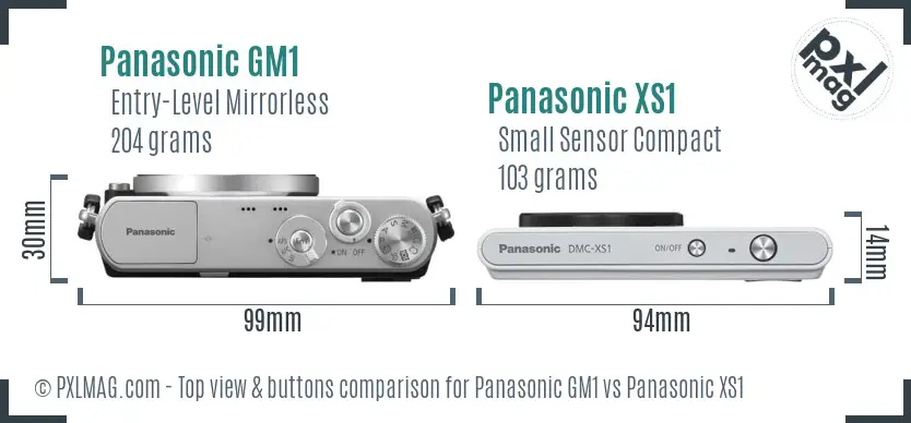 Panasonic GM1 vs Panasonic XS1 top view buttons comparison