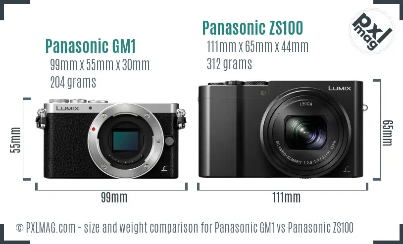 Panasonic GM1 vs Panasonic ZS100 size comparison