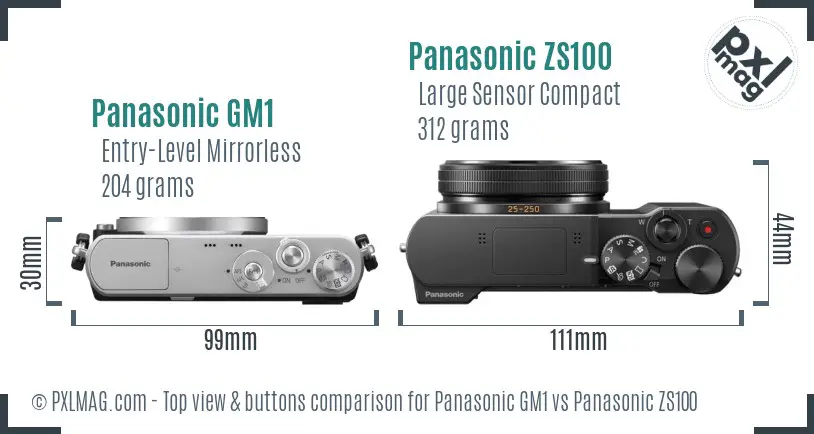 Panasonic GM1 vs Panasonic ZS100 top view buttons comparison