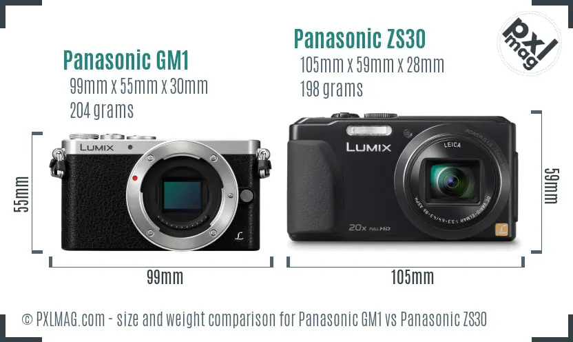 Panasonic GM1 vs Panasonic ZS30 size comparison