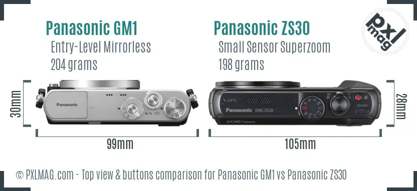 Panasonic GM1 vs Panasonic ZS30 top view buttons comparison