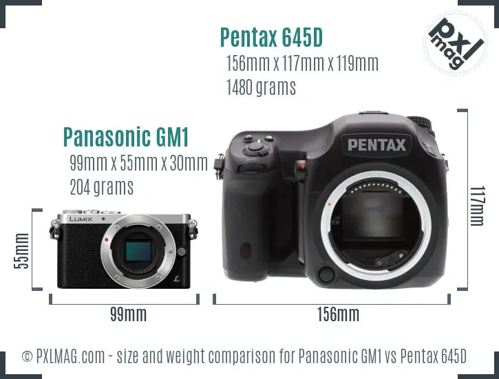 Panasonic GM1 vs Pentax 645D size comparison