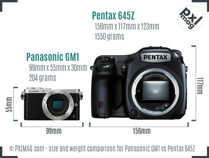 Panasonic GM1 vs Pentax 645Z size comparison