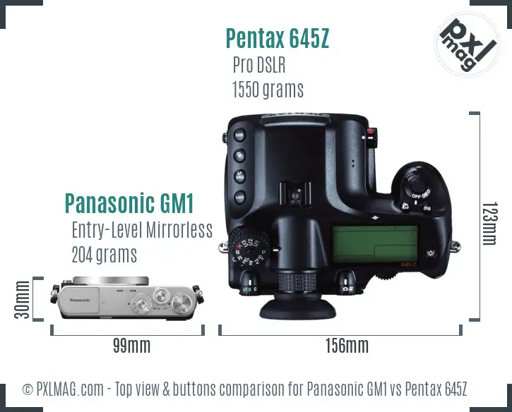 Panasonic GM1 vs Pentax 645Z top view buttons comparison