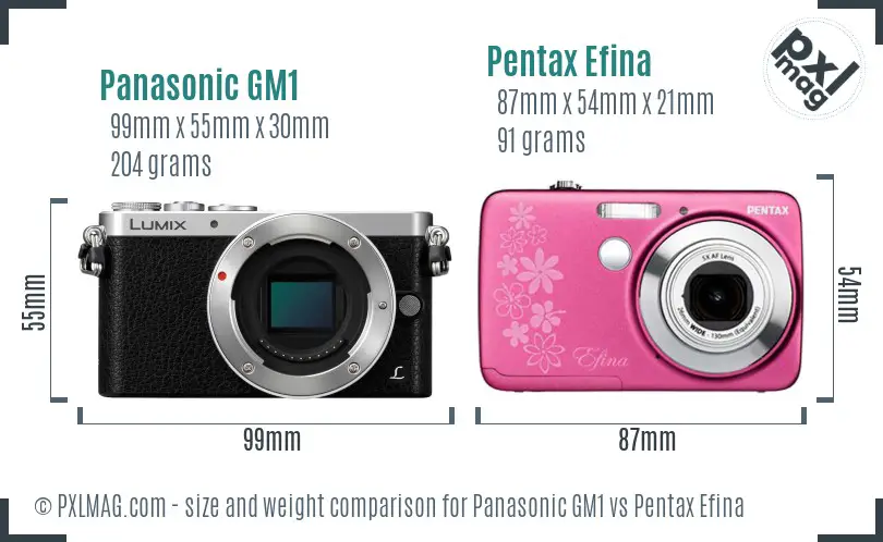 Panasonic GM1 vs Pentax Efina size comparison