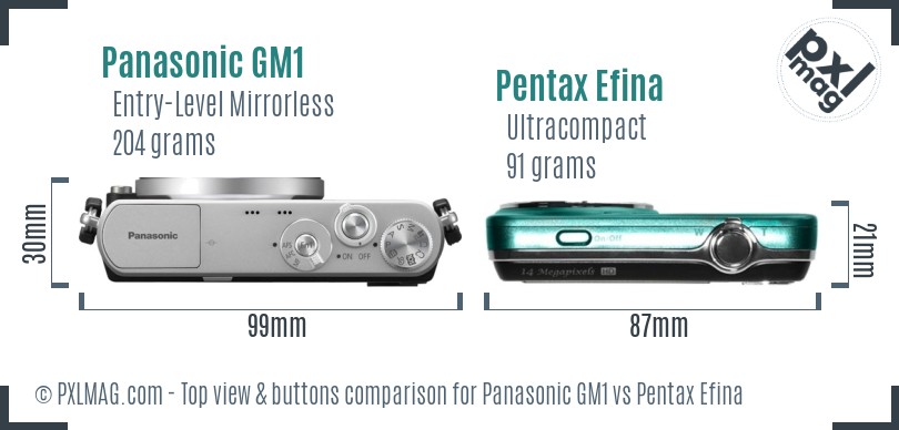 Panasonic GM1 vs Pentax Efina top view buttons comparison