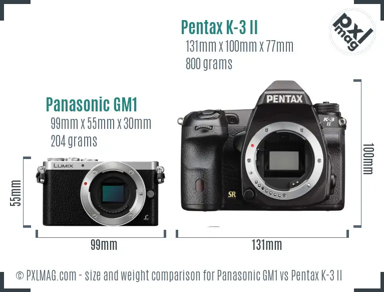 Panasonic GM1 vs Pentax K-3 II size comparison