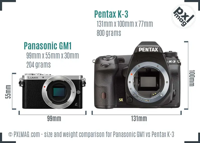 Panasonic GM1 vs Pentax K-3 size comparison