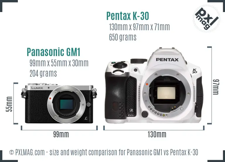 Panasonic GM1 vs Pentax K-30 size comparison