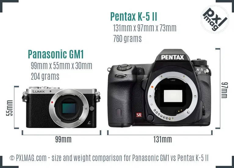 Panasonic GM1 vs Pentax K-5 II size comparison