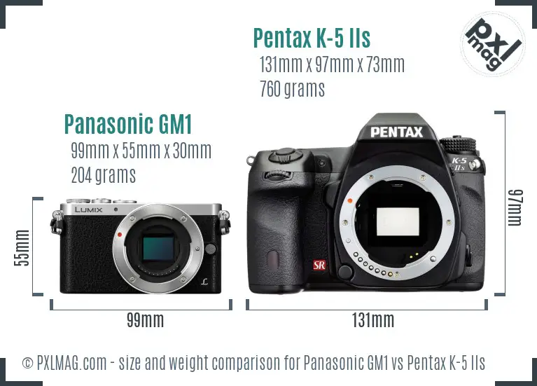 Panasonic GM1 vs Pentax K-5 IIs size comparison