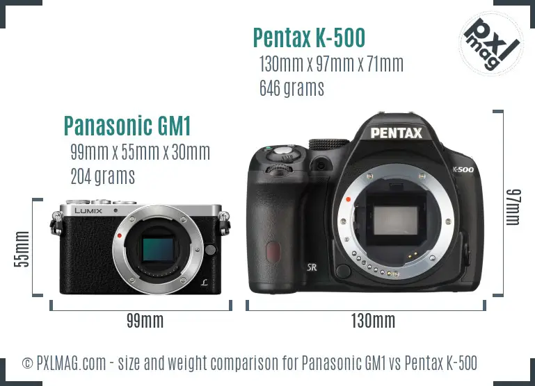 Panasonic GM1 vs Pentax K-500 size comparison
