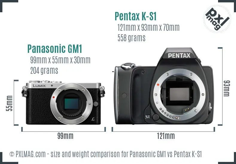 Panasonic GM1 vs Pentax K-S1 size comparison