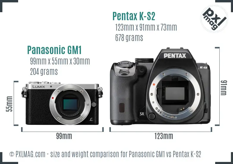 Panasonic GM1 vs Pentax K-S2 size comparison
