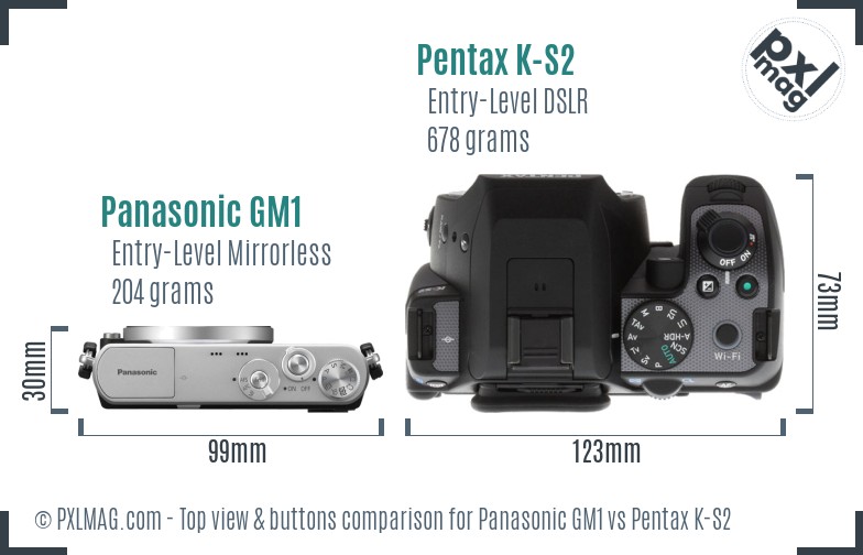Panasonic GM1 vs Pentax K-S2 top view buttons comparison