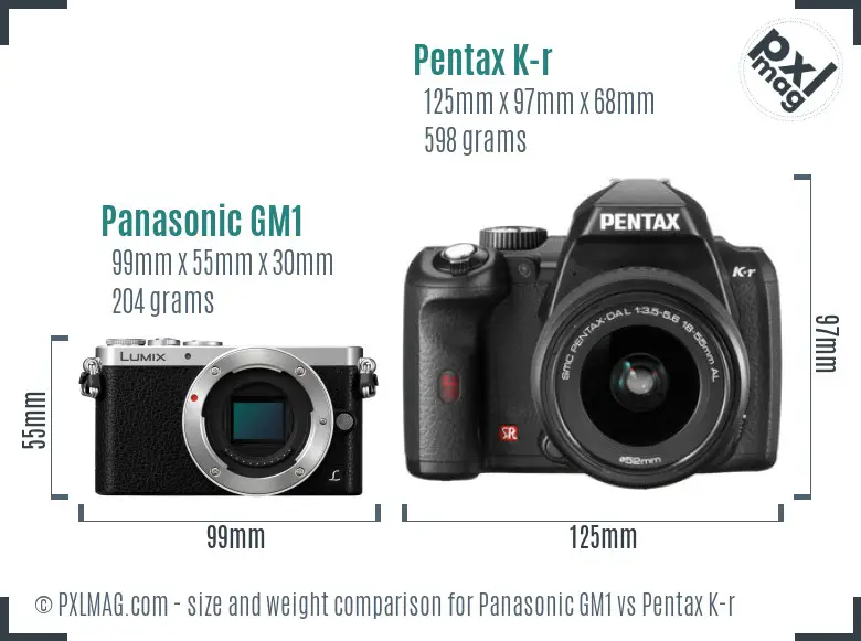 Panasonic GM1 vs Pentax K-r size comparison