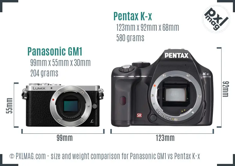 Panasonic GM1 vs Pentax K-x size comparison