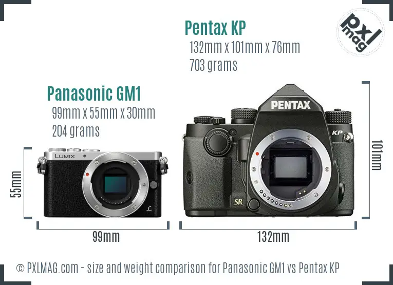 Panasonic GM1 vs Pentax KP size comparison