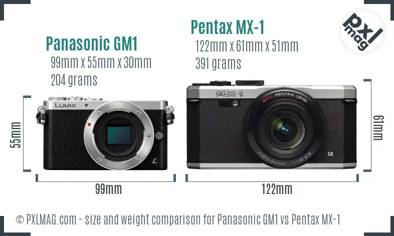 Panasonic GM1 vs Pentax MX-1 size comparison