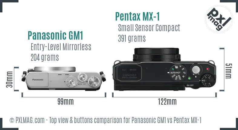 Panasonic GM1 vs Pentax MX-1 top view buttons comparison