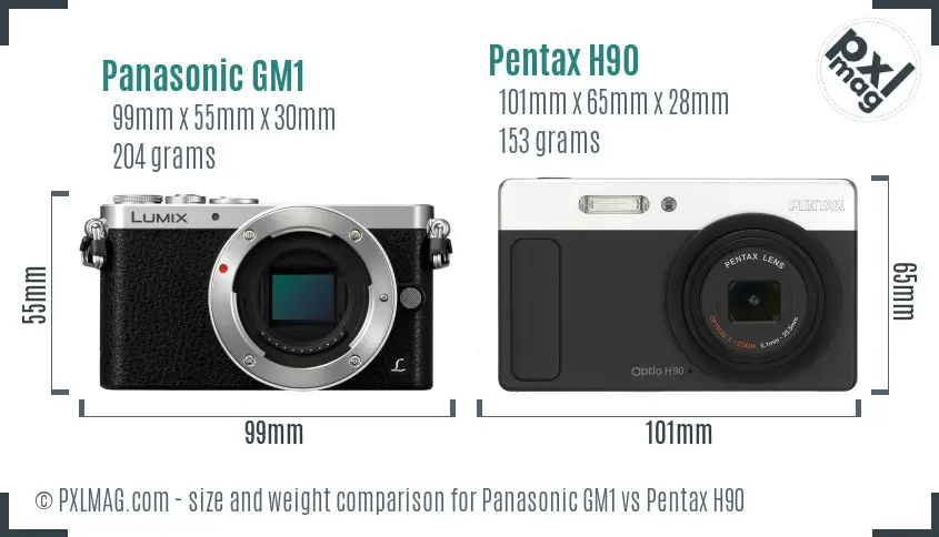 Panasonic GM1 vs Pentax H90 size comparison