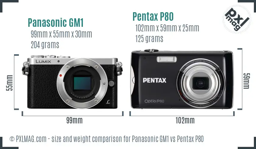 Panasonic GM1 vs Pentax P80 size comparison