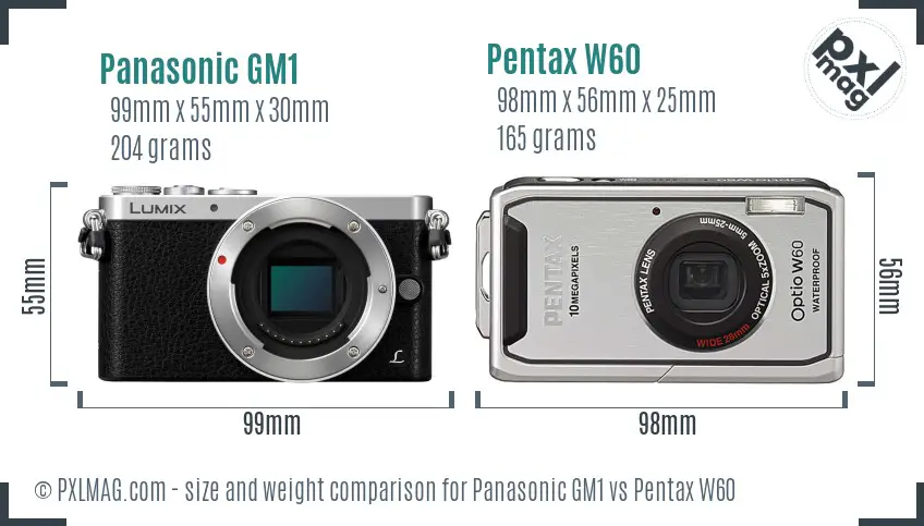 Panasonic GM1 vs Pentax W60 size comparison