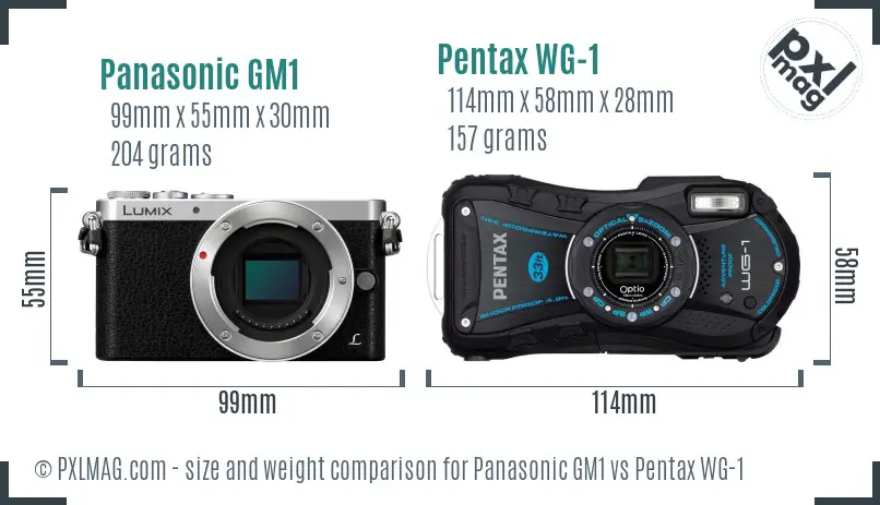 Panasonic GM1 vs Pentax WG-1 size comparison