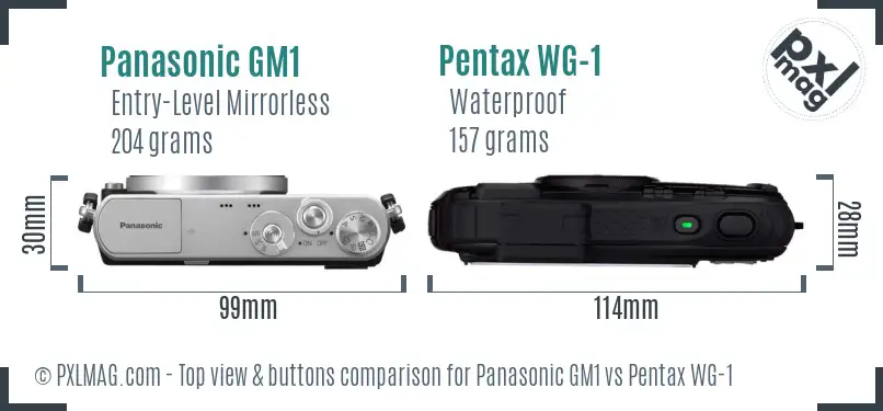 Panasonic GM1 vs Pentax WG-1 top view buttons comparison