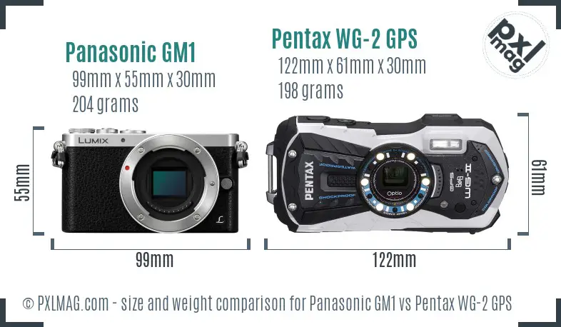 Panasonic GM1 vs Pentax WG-2 GPS size comparison